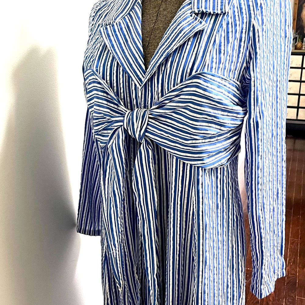 NWT $170 Anthropologie/Reclectic. Size medium, long sleeve button front Maxi